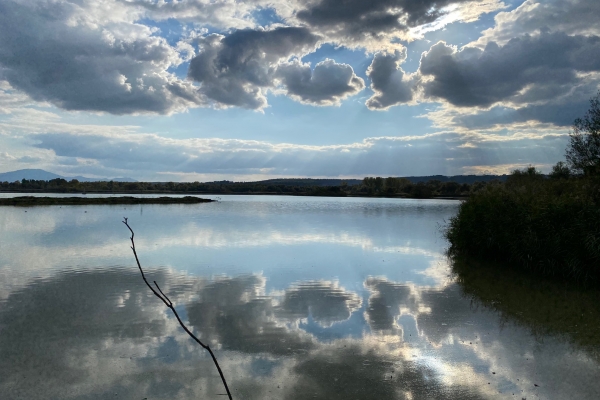 Oasi di Alviano